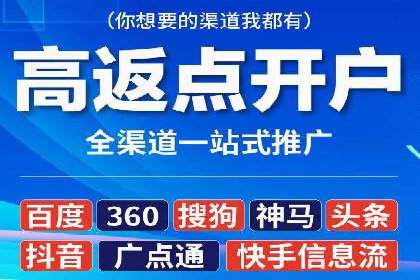 SEO与SEM优化案例：打造行业领先品牌
